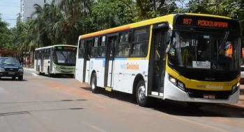 Procon Goiás notifica empresas de ônibus por má prestação à acessibilidade